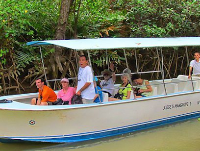 Damas Island Riverboat Safari