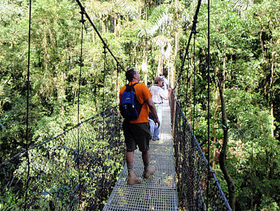 Arenal Hanging Bridges - Private Tour Jacamar
