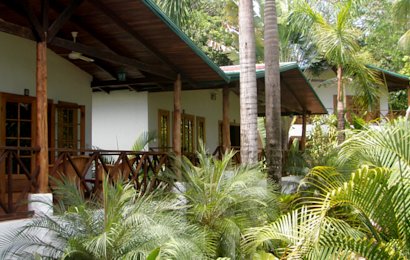 Quality, budget-friendly hotels are hard to come by in Manuel Antonio, but The Falls Resort is just that.
