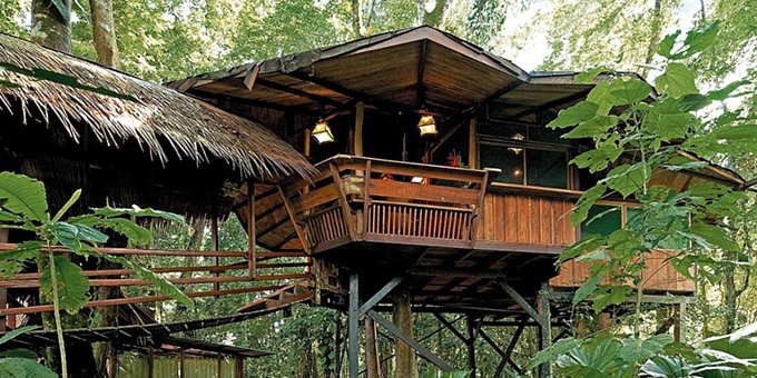 Tree House Lodge is a unique hotel property located at Punta Uva. Amenities include privacy, direct beach access, relaxation, rich gardens.