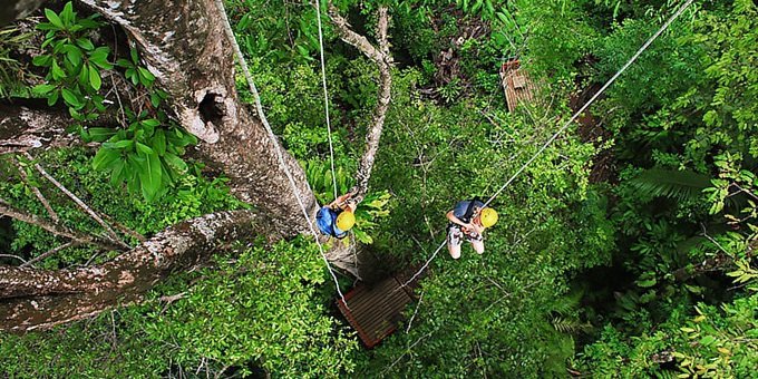 Today you will go on a Tree Climbing tour in Hacienda Baru National Wildlife Refuge.  A professional guide will accompany you on a thrilling tree climb into the canopy of the rainforest. No experience necessary, though participants should be in fairly good physical condition.  After a safety briefing, your guide will assist you the entire way up some 35 meters.  This 2.5 hour tour includes guide.  No transportation is needed from Hacienda Baru.  Transportation is not included from other area hotels.