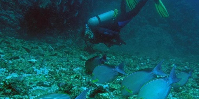 Scuba Diving Two Tank Dive Near Playa Ocotal - OBR Tour