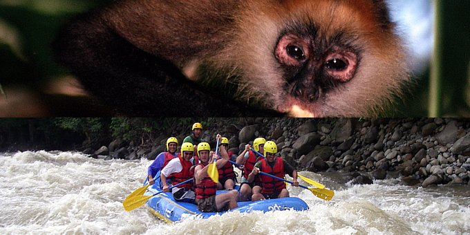 Choice: Riverboat Safari or Rio Balsa Rafting