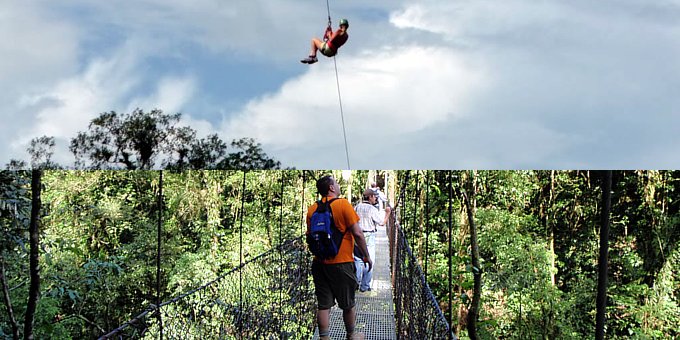 Choice: Canopy Hanging Bridges or Zipline