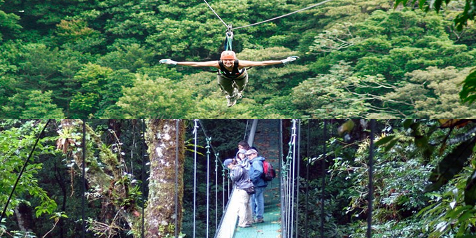 Choice Aventuras: Canopy Hanging Bridges or Zipline
