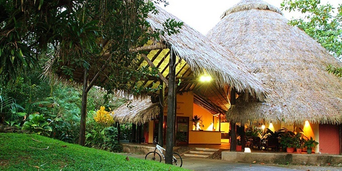 Sarapiqui Rainforest Lodge is a captivating retreat nestled in the lush rainforests of Sarapiqui, Costa Rica. With charming accommodations, a range of activities, and a focus on sustainability, it offers a memorable experience in the heart of nature. Explore the rich biodiversity, enjoy the sparkling swimming pool, indulge in delicious local cuisine, and engage in thrilling adventures like zip-lining and river rafting. Sarapiqui Rainforest Lodge is the perfect gateway to experiencing the beauty and wonders of Costa Rica's rainforest. Lodge amenities include a swimming pool, WiFi, restaurant, bar, archaeological site, conference room, nature trails, museum, botanical gardens, and internet.