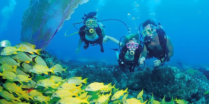 During the months of March, April, September, and October, scuba diving can be phenomenal in front of Punta Uva and Gandoca Manzanillo.