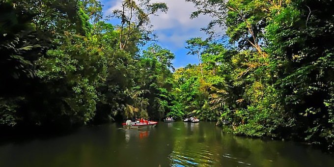 The Tortuguero Canals protect many species of exotic and rare wildlife.