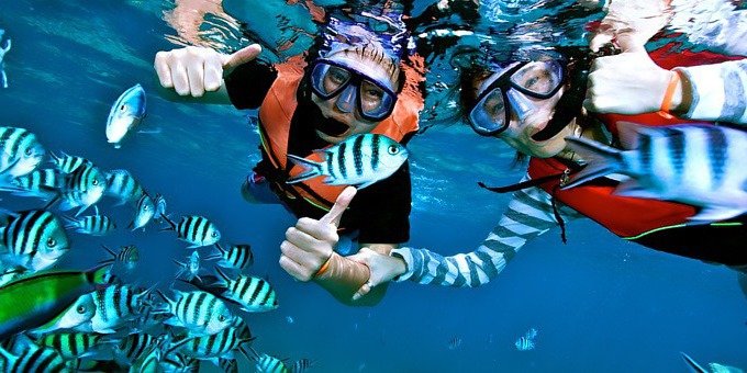 During the months of January through August, Cano Island offers some of the best snorkeling in Costa Rica.