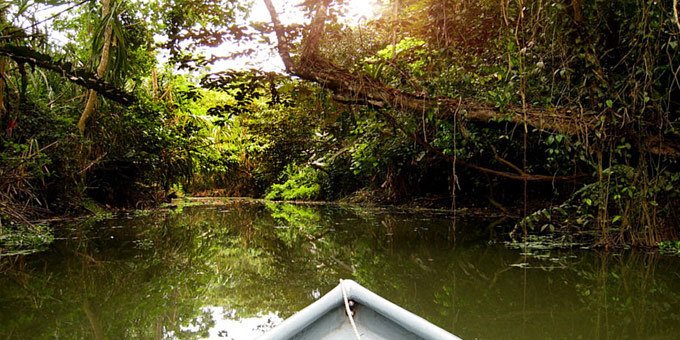 Great fishing, bird watching and plenty of warmth are what you’ll find in the Barra del Colorado Refuge. An abundance of wildlife awaits you in one of Costa Rica’s warmer year-round climates.