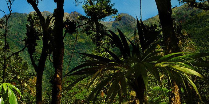 Home to cloud forests and famous hiking, Chirripo National Park is a place where you can observe both the Caribbean and Pacific Oceans. This combination of five ecosystems promises an adventure for explorers.