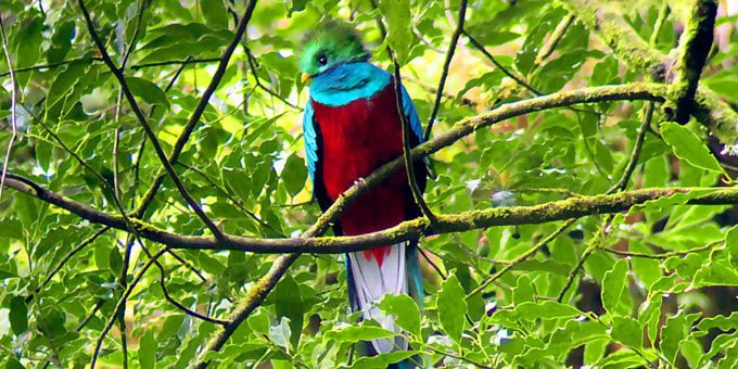 Don’t let the name fool you. The ‘Mountain of Death’ is home to plenty of life’s wonders. From a variety of birds to an exceptional mix of flora, this cool region is Costa Rica’s highest destination along the Inter-American Highway.
