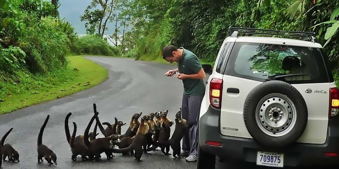 Generally speaking, Costa Rica is one of the safest places in the world to travel to and certainly the safest in Central America.