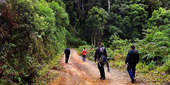 November could be a good time of year to travel to Costa Rica’s Northwest Pacific. During this time, rains break more with less rain in the earlier parts of the day. If you plan your trip during the month of November, be sure to check out our guide and tips for the best areas to visit.