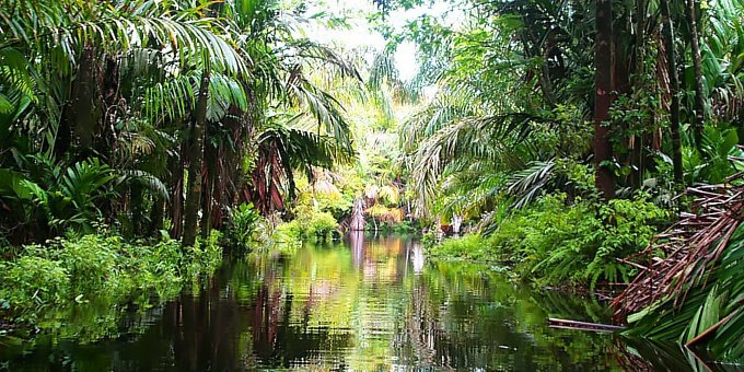 Tortuguero is located in the Northern Caribbean coast of Costa Rica which is a region of vast contrasts in weather.