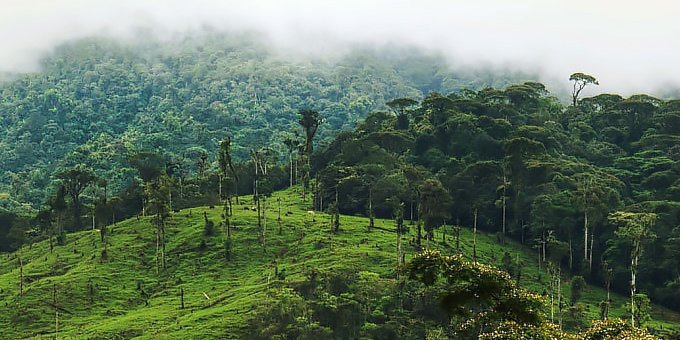 Surrounded by rainforest and cloud forest, the weather in San Isidro del General is fairly predictable.
