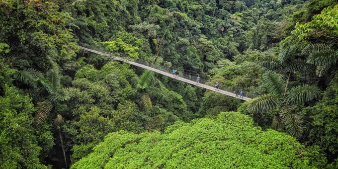 Exploring the canopy of the rainforest was initially done in the form of a hand pulled zipline.