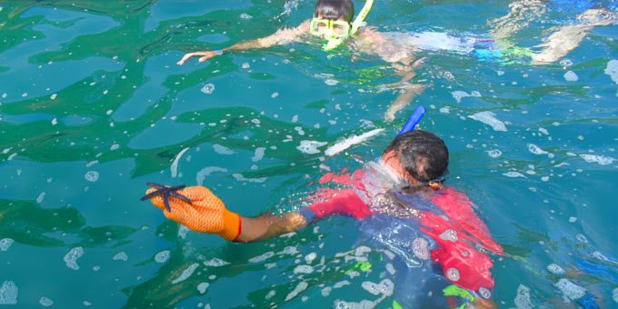 There are opportunities for good snorkeling in Costa Rica, though great locations are few and far between.  Due to this, most Costa Rica...