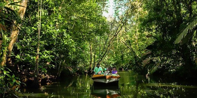 A boat full of tourists navigates the Tortuguero Canals in search of wildlife