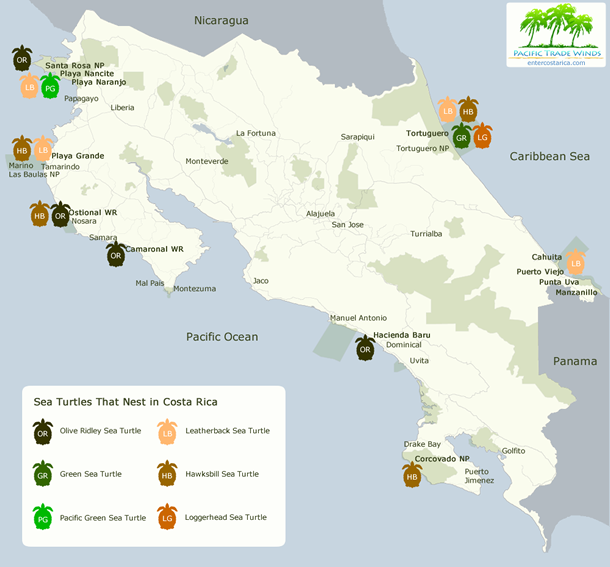 This map shows where to find nesting sea turtles in Costa Rica.