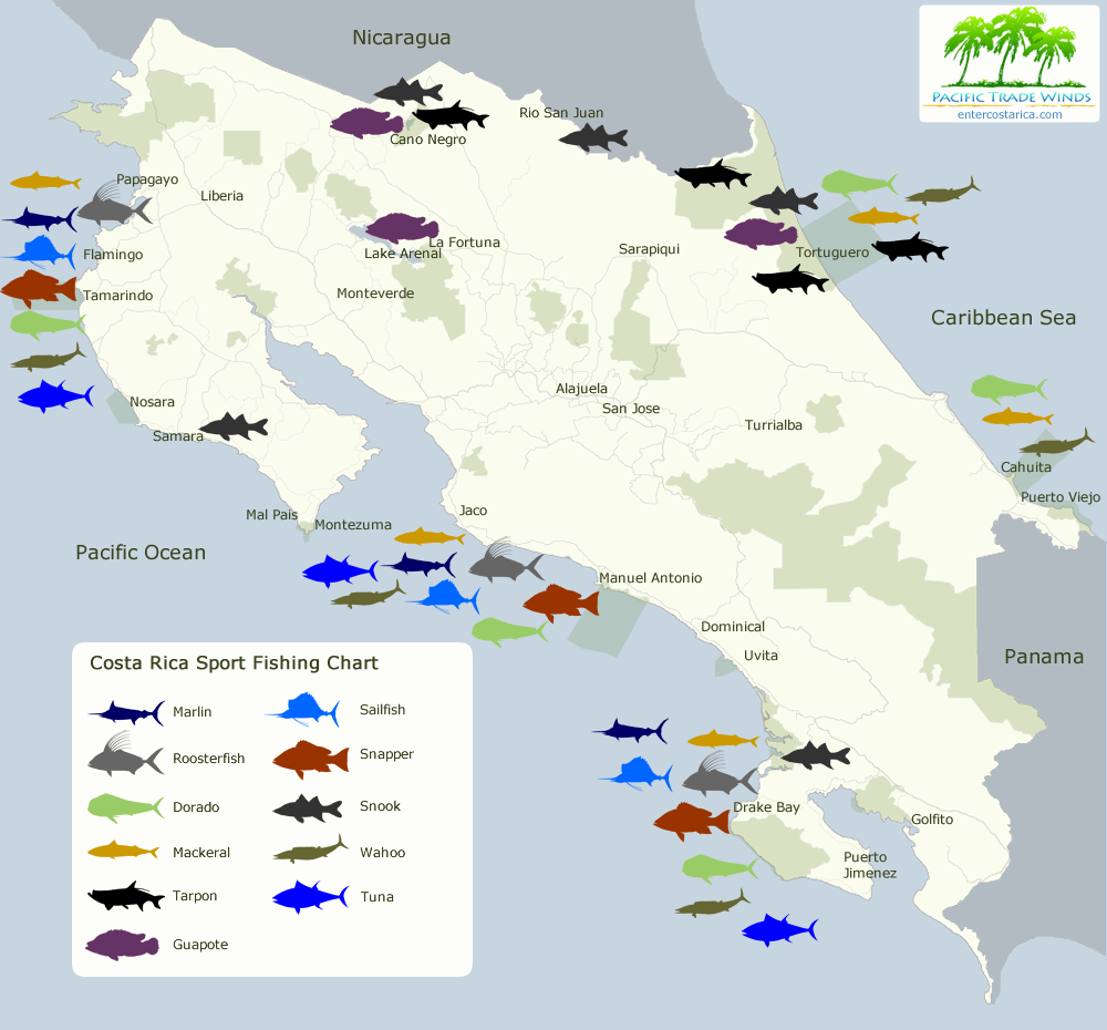 Costa Rica Sport Fishing Map - When and Where to Fish