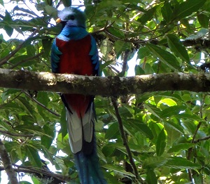 Costa Rica´s Best Highland Observation