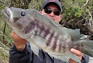 Fresh Water Fishing in Costa Rica Rainbow Bass