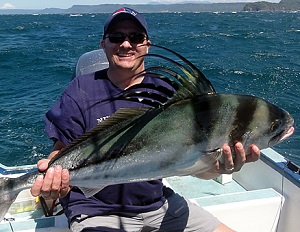 Rooster Fish in Costa Rica´s Pacific Coast