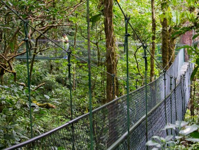 Hanging Bridges Guided Hike- Aventuras