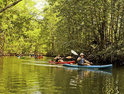 Damas Island Kayaking Safari