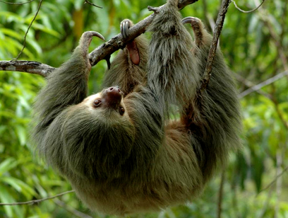 Manuel Antonio National Park