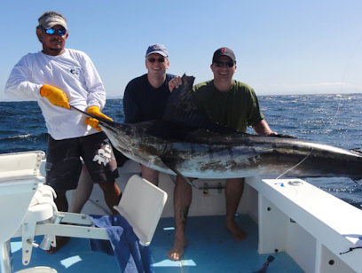 Offshore Sport Fishing 29 Ft. Boat - Full Day