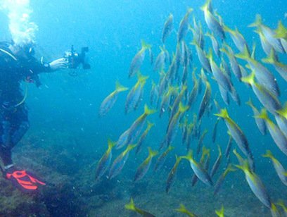 Scuba Diving PADI Discover Scuba - Ocean Unlimited