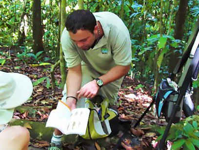 Rainforest Experience Hike