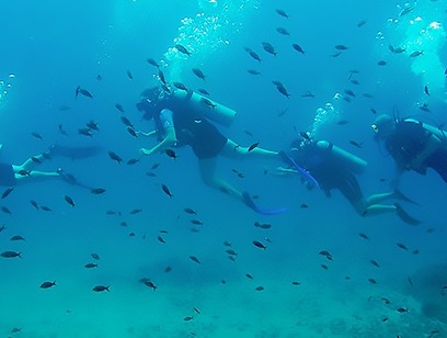 Scuba Diving Two Tanks at Cano Island