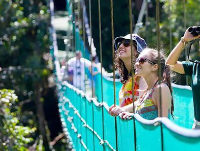 Sky Walk Guided Hike - Sky Adventures Monteverde