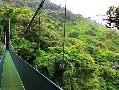 Sky Walk Hanging Bridges Tour - Guided