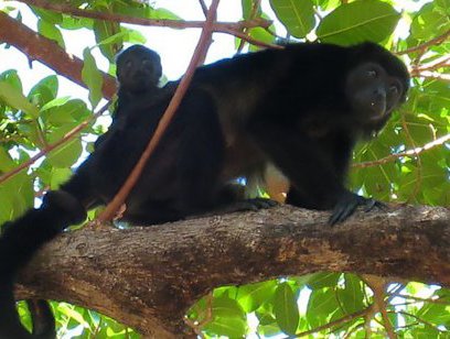 Cahuita National Park