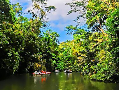 Tortuguero Canal Tour - Laguna Lodge