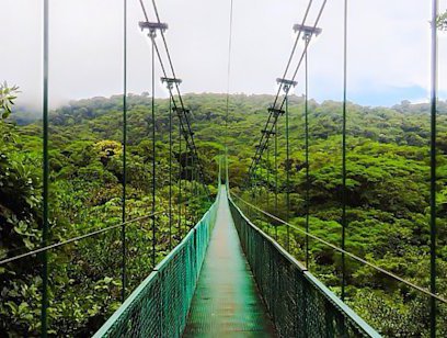 Hanging Bridges Guided Hike - Selvatura