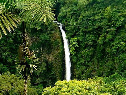 La Fortuna Waterfall and La Finquita Farm