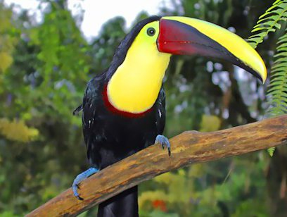 Birdwatching Tour Quality Trails