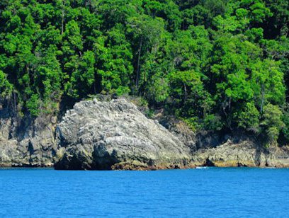 Cano Island Biological Reserve Tour