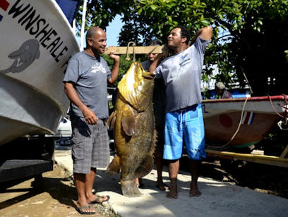 Sport Fishing Half Day