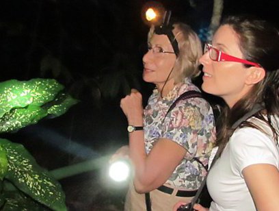 Santamarias Night Walk