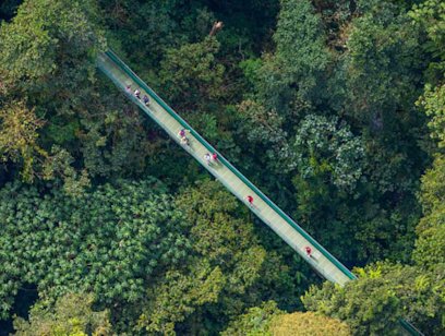 Sky Tram and Sky Walk - Sky Adventures Arenal