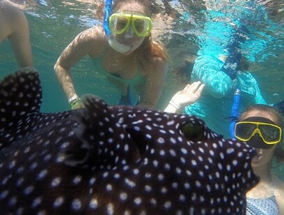 PRIVATE Snorkeling Boat Tour