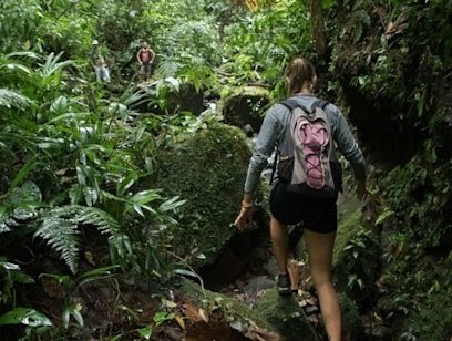 Jungle Trekking and Culture Experience