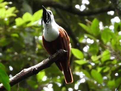 Curi Cancha Reserve Guided Hike