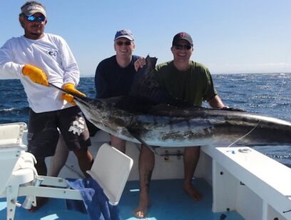 Offshore Sport Fishing 28 Foot Boat - Full Day